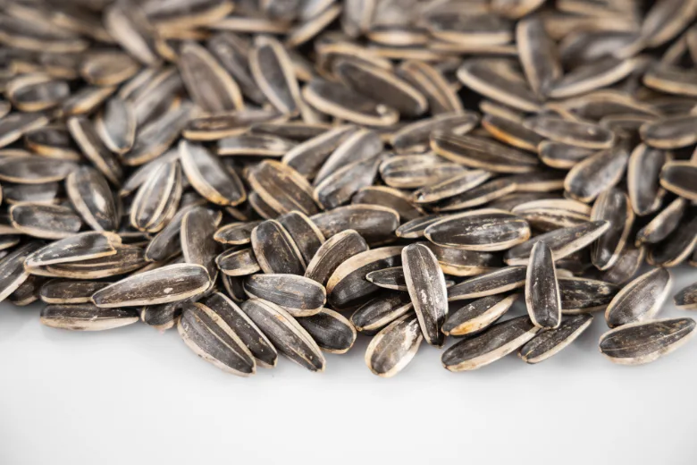 4 Compelling Reasons to Include More Sunflower Seeds in Your Diet