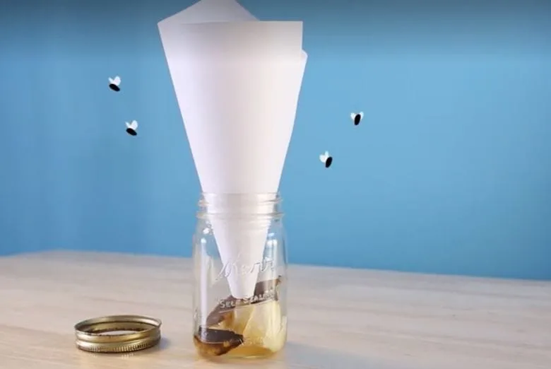 5 Simple Methods to Trap Fruit Flies in Your Home
