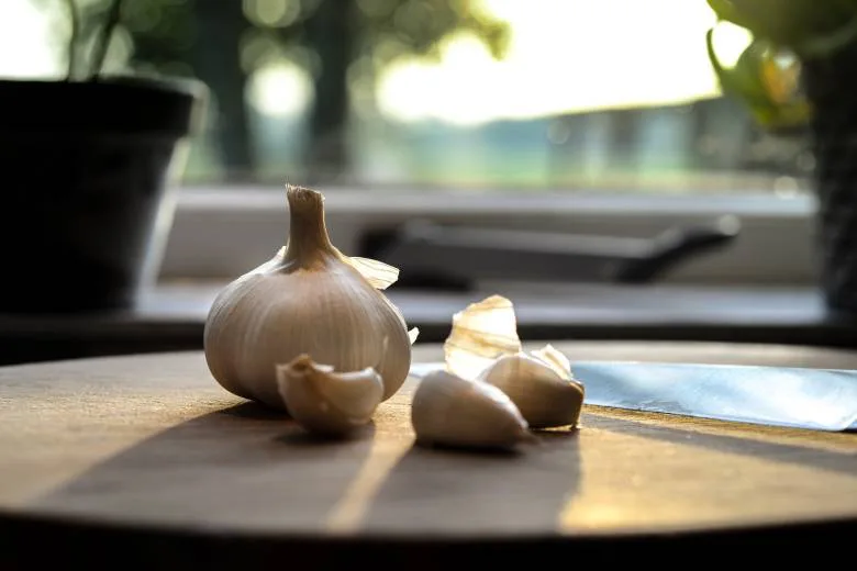 6 Reasons to Eat Garlic Every Day