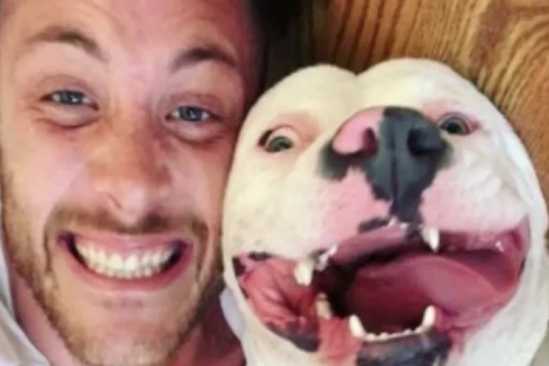 A Smiling Adopted Dog’s Photo Became the Only Evidence the Police Needed