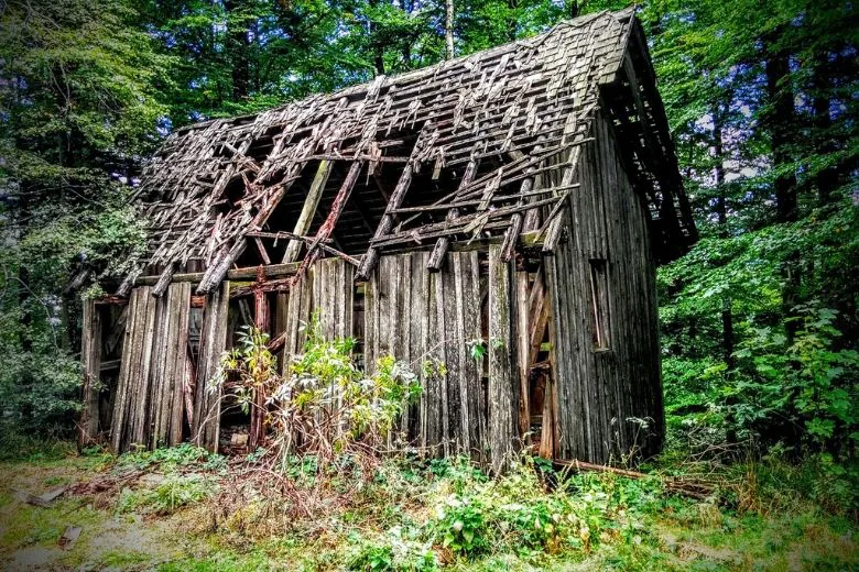 Man Transforms Abandoned Shed Into Stunning Log Cabin on a $100 Budget