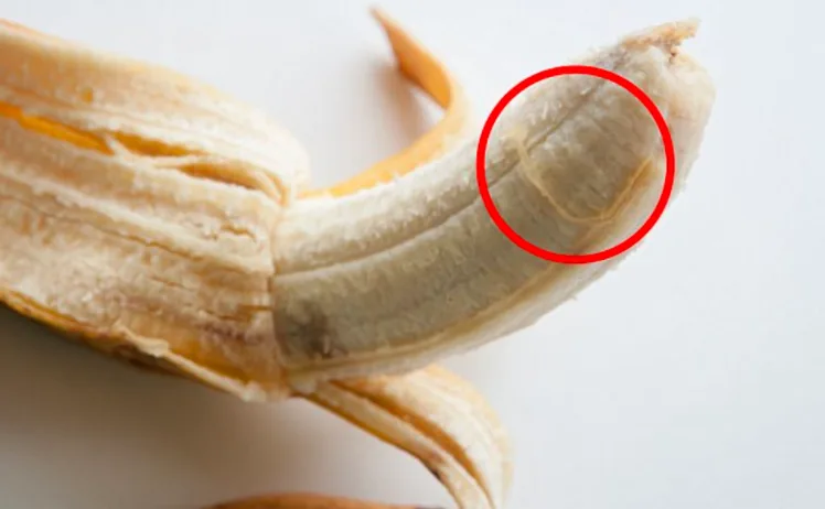 Those Annoying Little Strings on Bananas: They Have a Name and a Purpose!