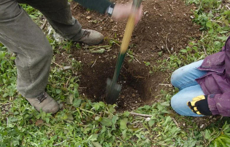 Unbelievable Backyard Discovery: Man Finds Secret Room in New Home
