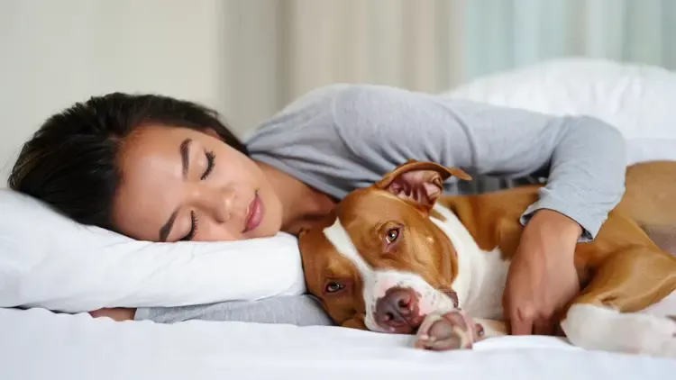 She Thought Her Dog Was Just Cuddly, But the Vet Revealed a Chilling Truth
