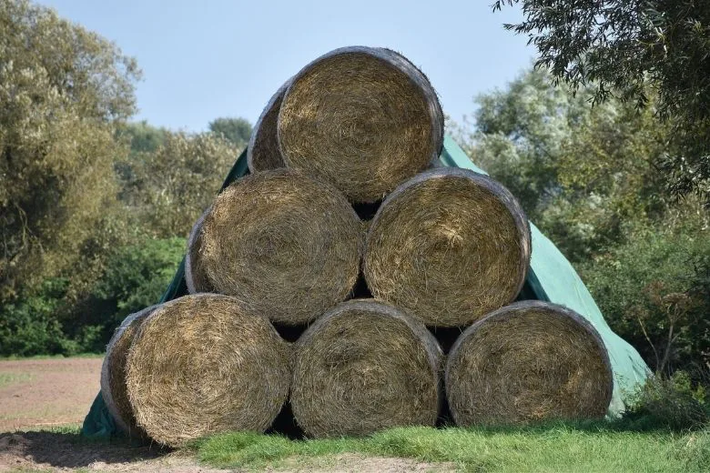 Groot geheim garagedeur
