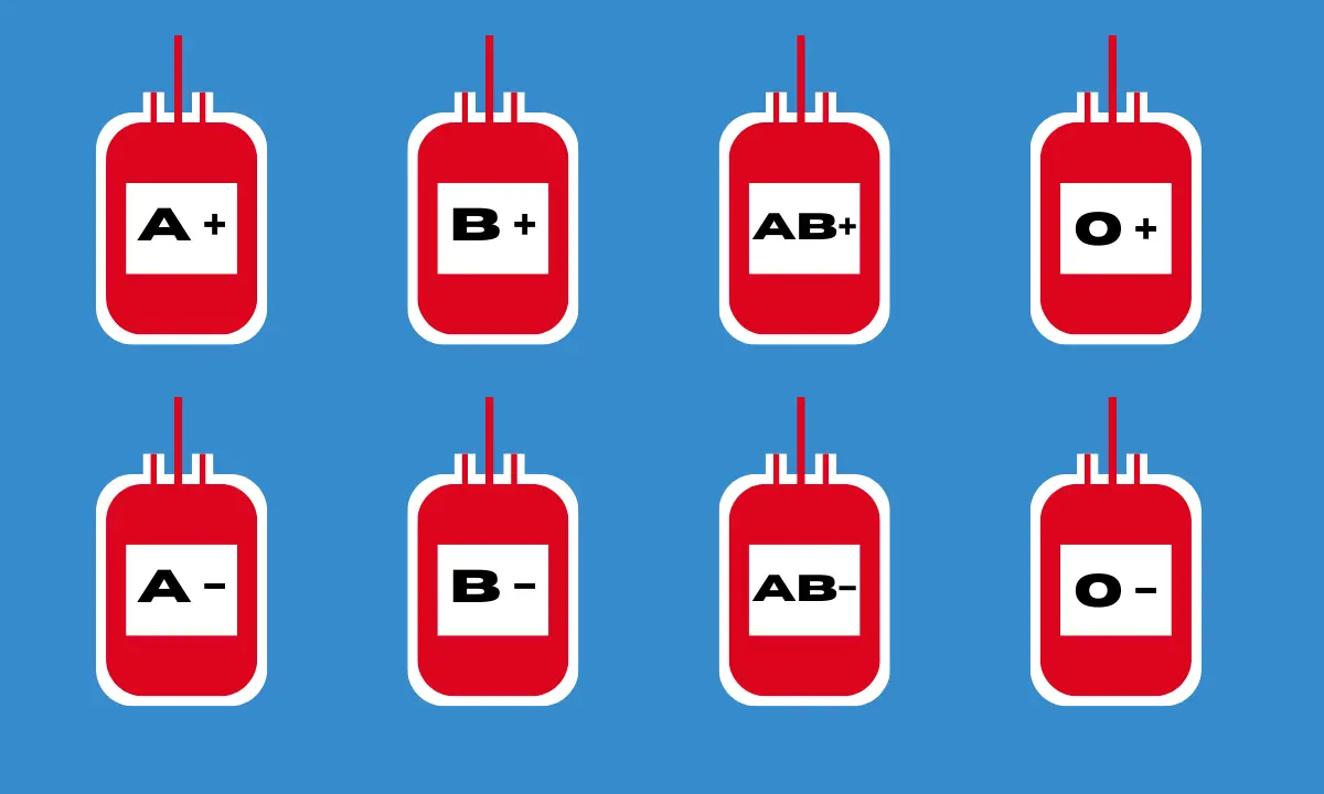 What Your Blood Type Reveals About Your Personality and Love Life