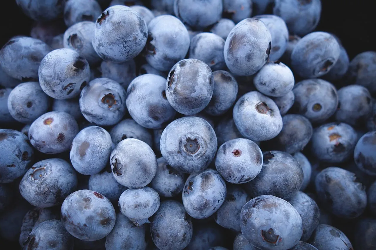 4 Compelling Reasons to Eat Blueberries Every Day