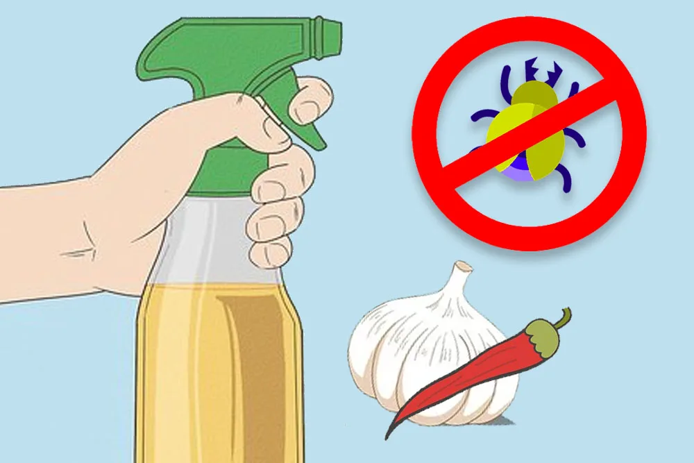 Create Your Own Chemical-Free Bug Repellent Using Everyday Ingredients