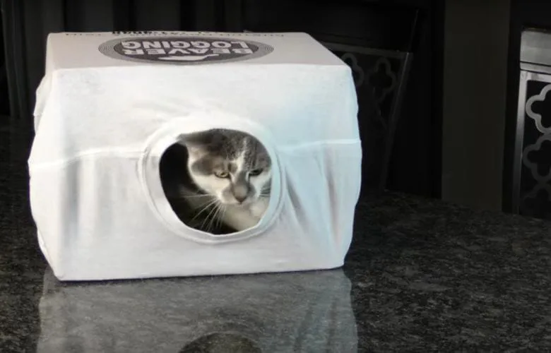 cardboard boxes