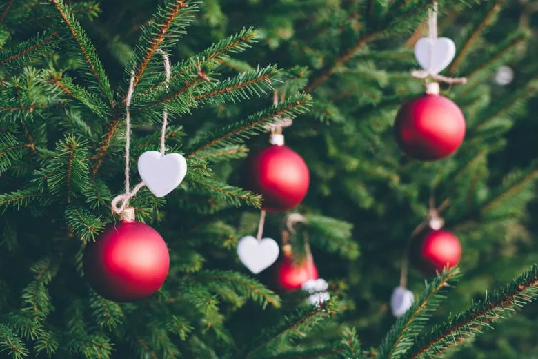 6 tips to keep your Christmas tree fresh all through the holidays