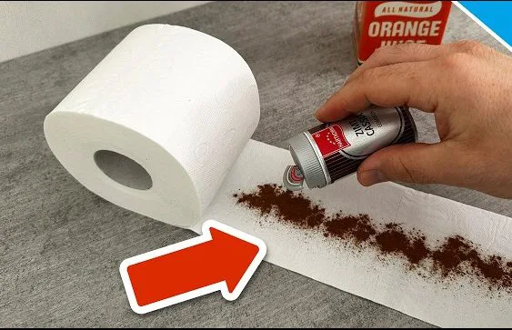 The Surprising Bathroom Hack: Adding Cinnamon to Toilet Paper