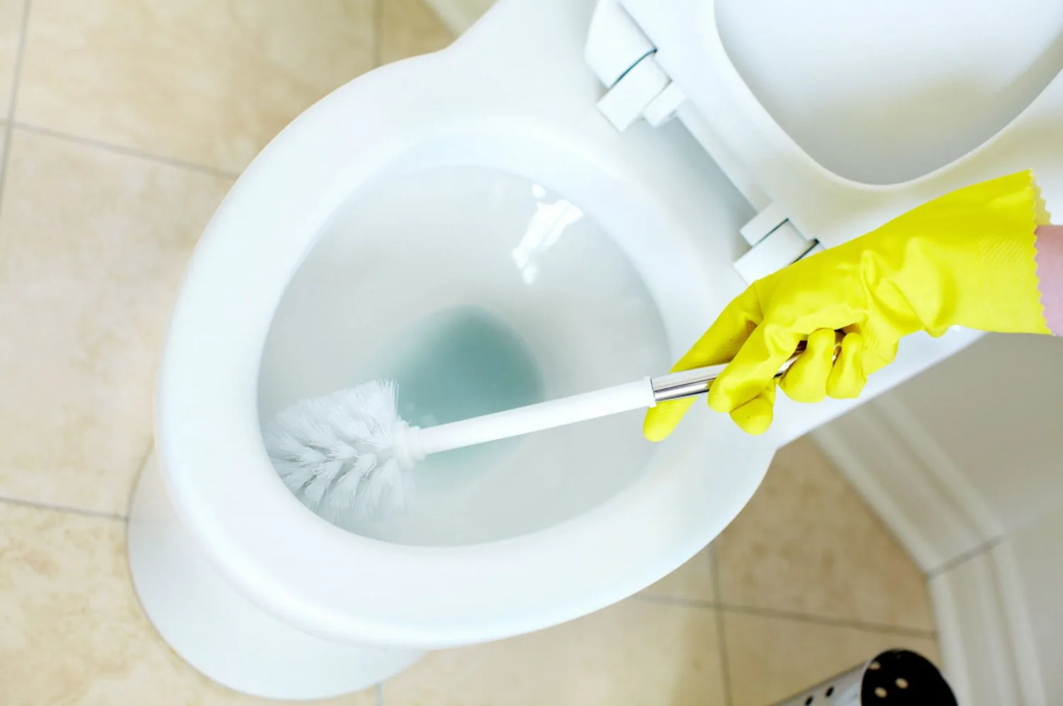 Stop Using Chlorine Bleach to Clean Your Toilet – Here’s Why