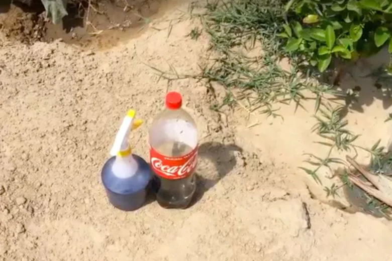 Don’t throw away flat Coke – repurpose it in your garden