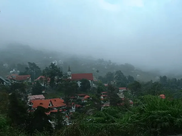 How a Complete German Village Ended Up Hidden in the Amazon Rainforest