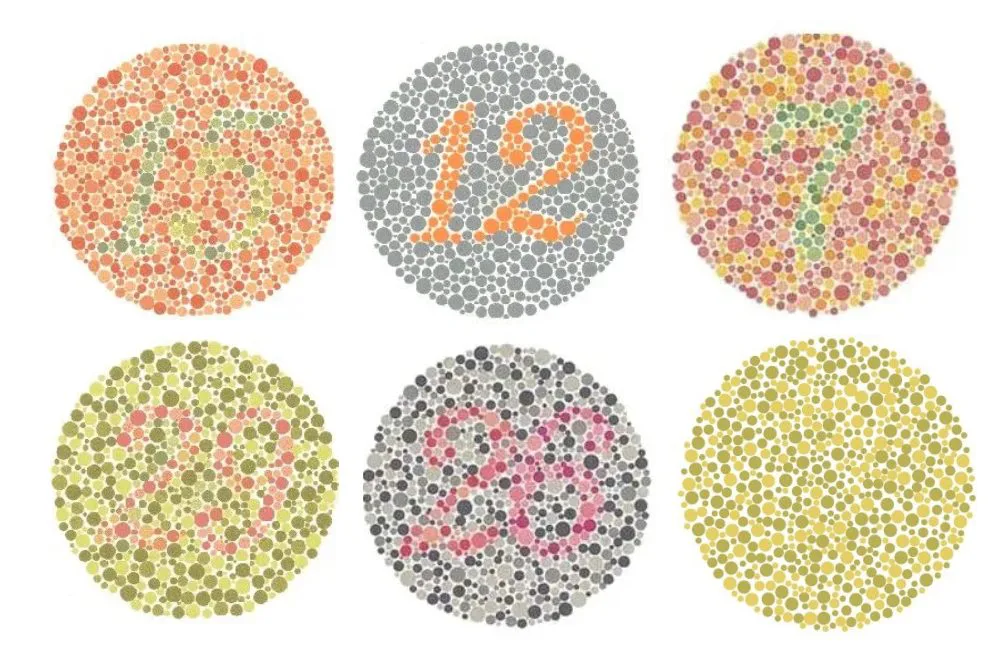 Are You Colorblind? Find Out Now!
