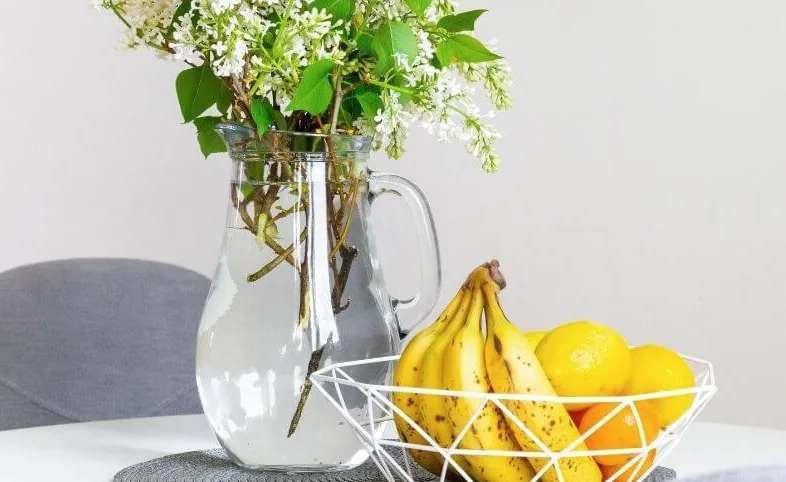6 Smart Tricks to Prevent Bananas from Ripening Too Fast