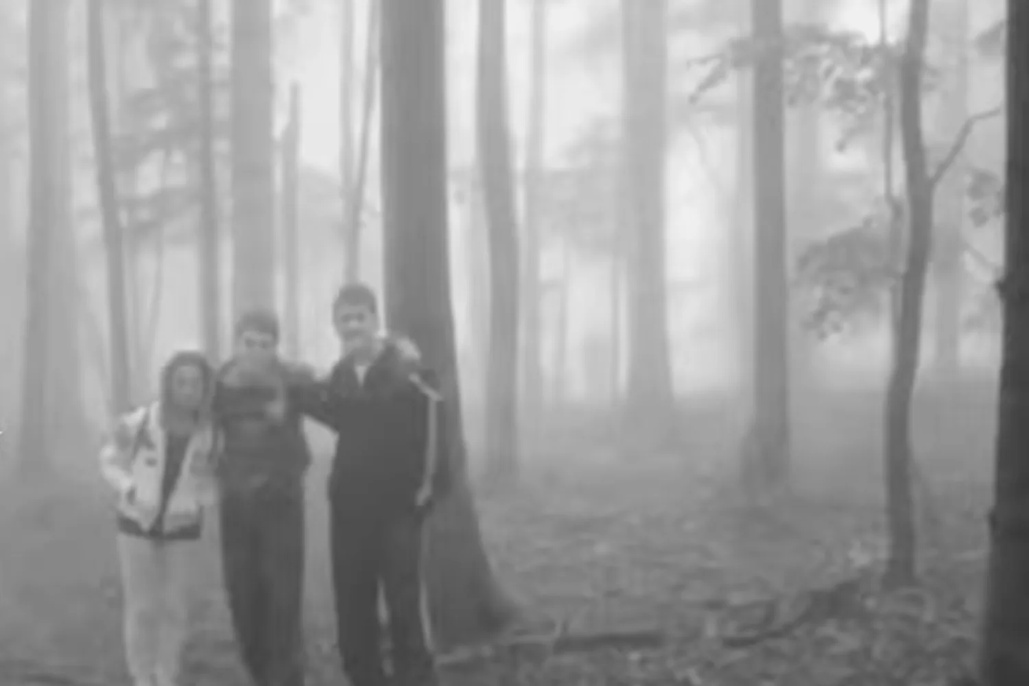 Dare to Look Deeper? These Eerie Black-and-White Images Conceal Disturbing Secrets