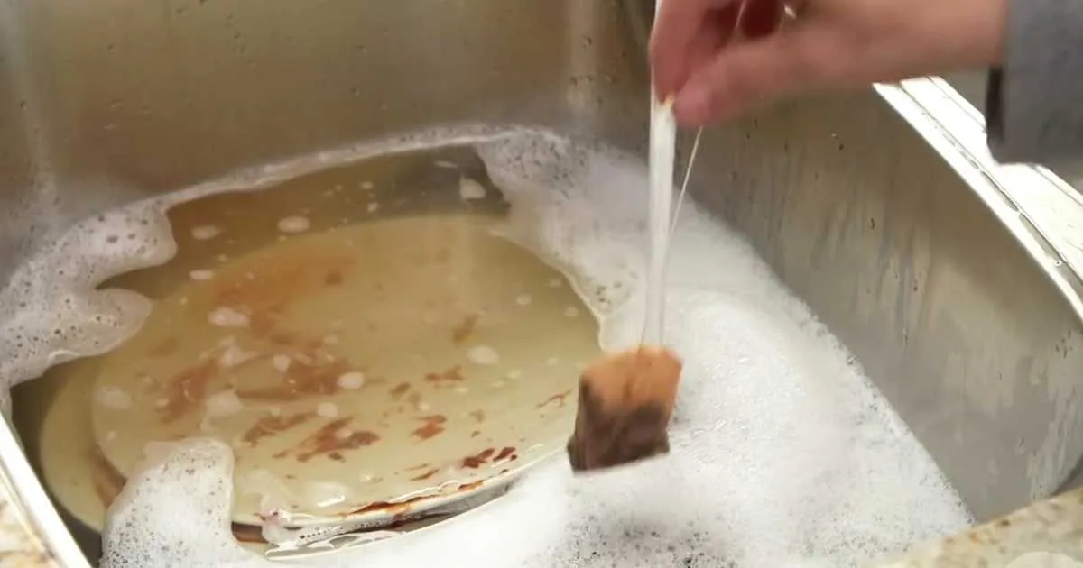She Dipped a Tea Bag in a Sink Full of Dirty Dishes… Wait Until You See Why!