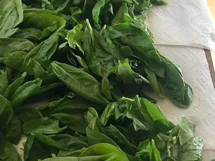Spinach salad with tomatoes and nuts