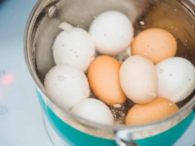 Why You Should Never Throw Away Water After Boiling Eggs – The Surprising Reason!