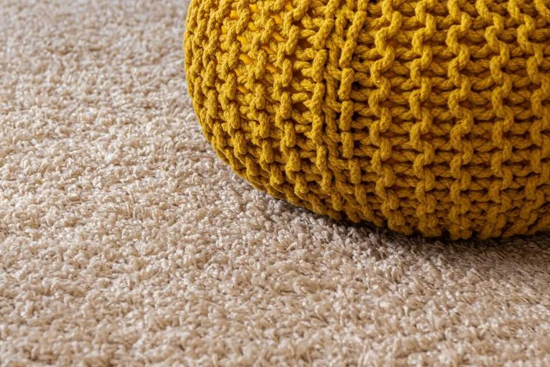 How to Prevent and Eliminate Pests in Your Carpet or Rug