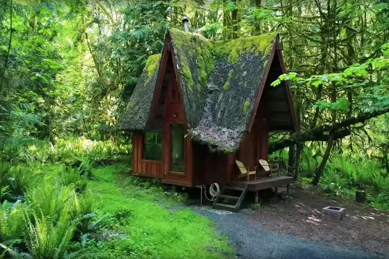 Peek Inside: This Forest Home Looks Tiny but Sprawls Inside