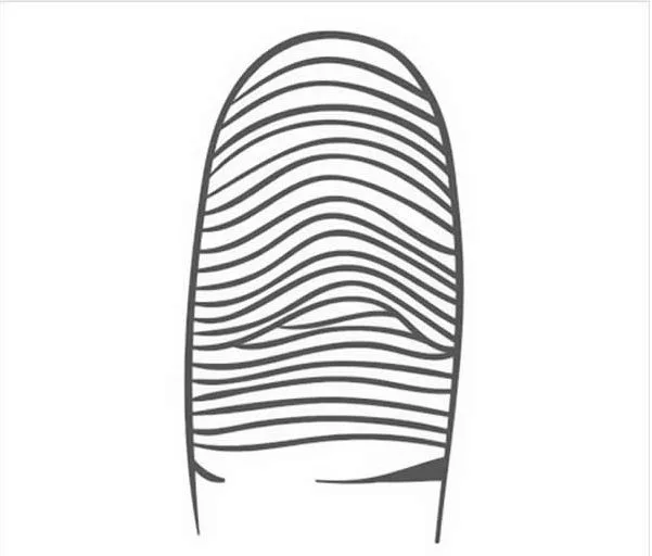 fingerprint with curves