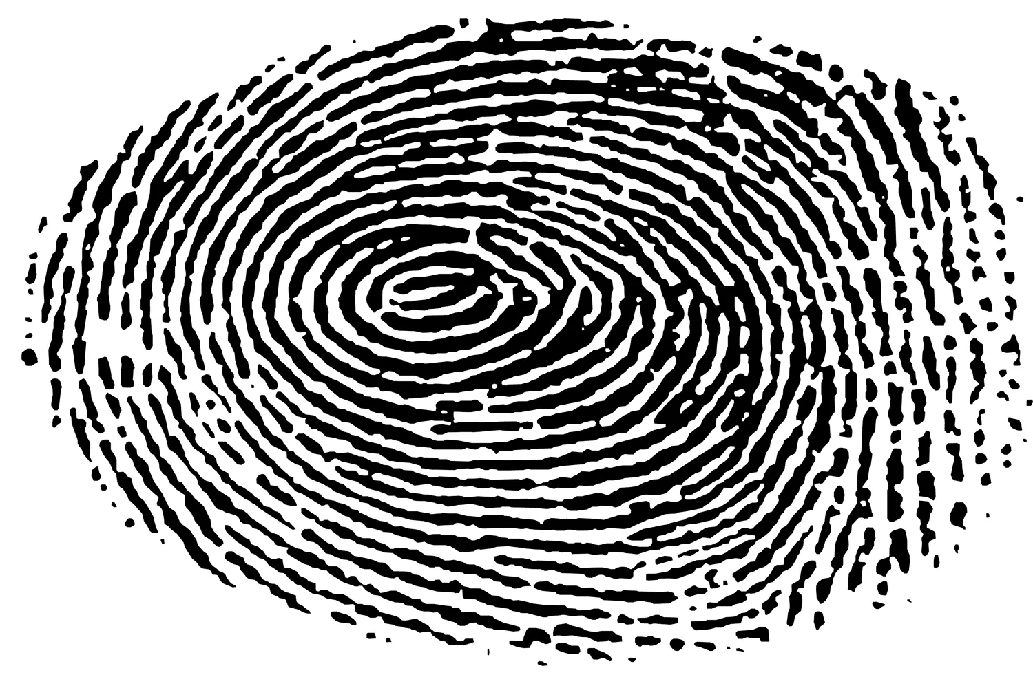 What Your Fingerprints Reveal About Your Personality