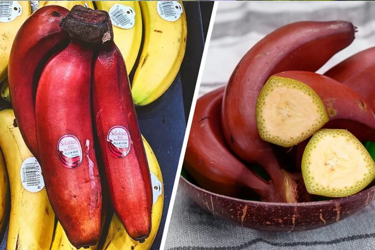 20 Uncommon Fruits You've Probably Never Tried