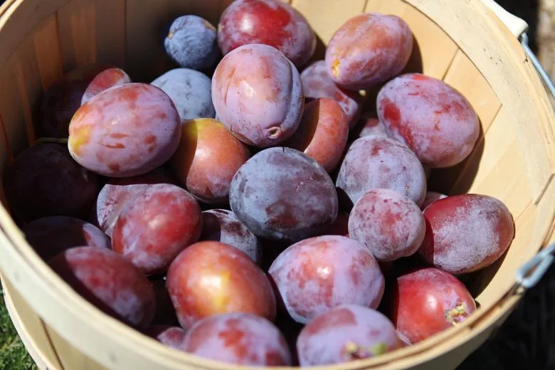 Three Fruits That Can Help Relieve Bloating
