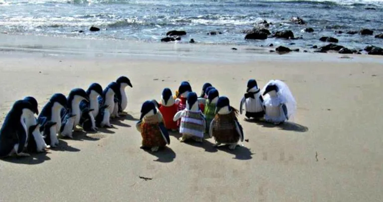 The 27 Funniest Beach Pictures (Some Went Too Far…)