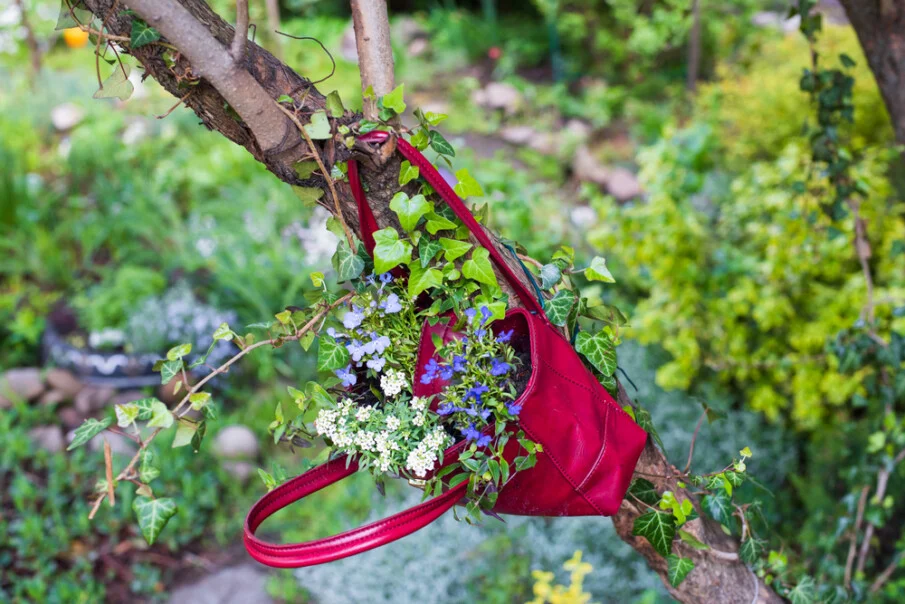 Our Top 14 Genius Garden Hacks That Will Save You Time and Money