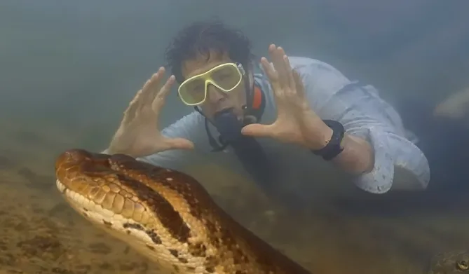 Massive Snake Discovered at Construction Site – Vet Stunned by What Was Inside