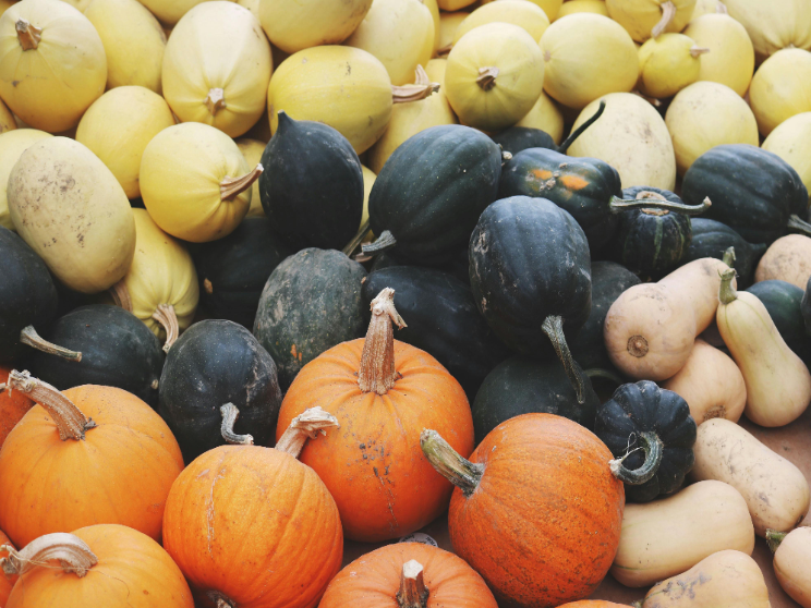 Why You Should Eat Pumpkin Every Day!
