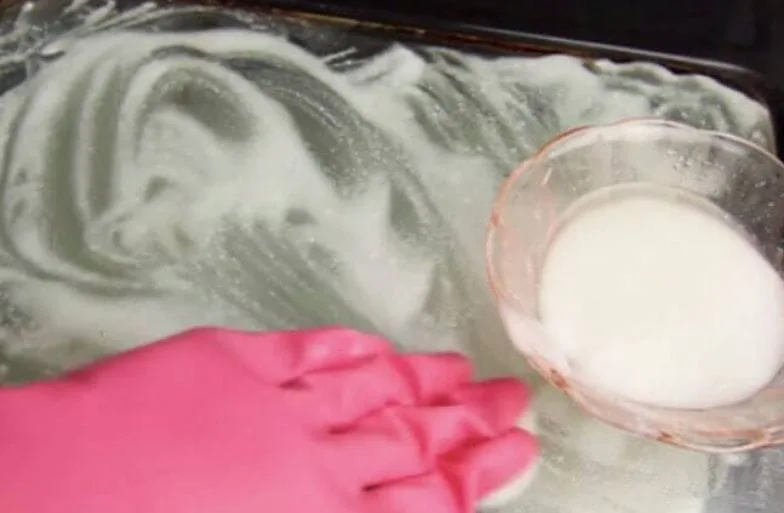 How to Clean a Greasy Oven Door Like a Pro
