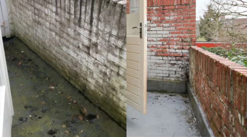 Remove Green Stains from Your Balcony or Garden Tiles with This Natural Solution!