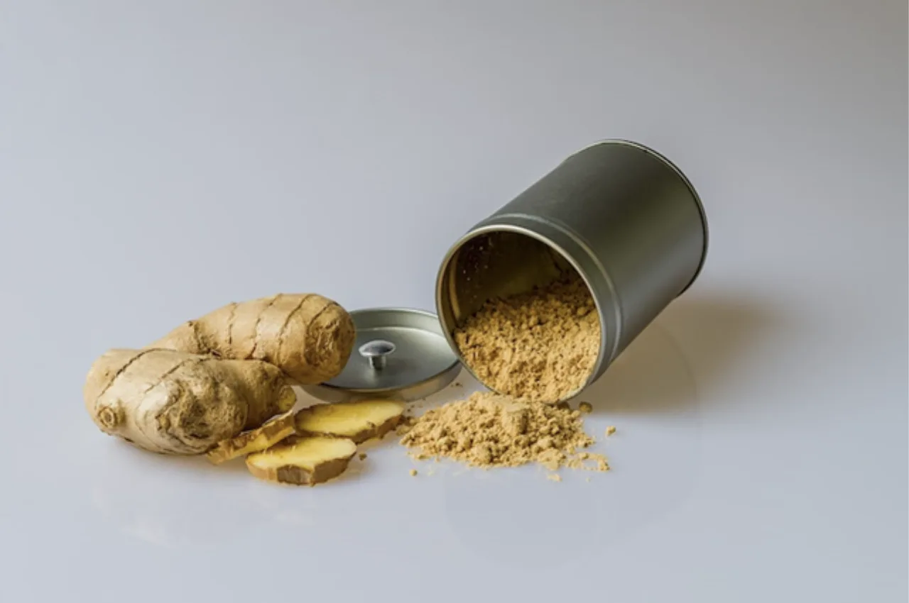 Growing Your Own Ginger: A Simple Step-by-Step Guide