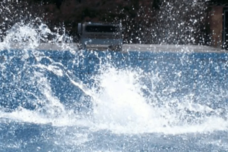 Horse in pool 2