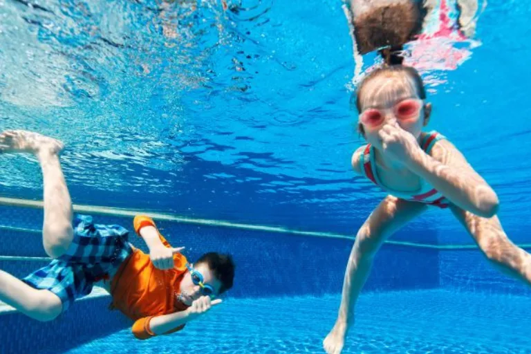 Horse in pool 3