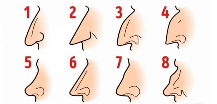 What Your Nose Shape Reveals About Your Personality