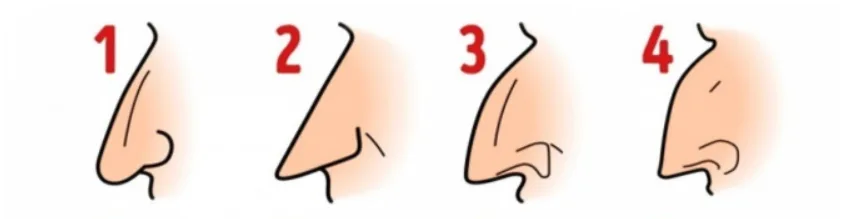 nose personality