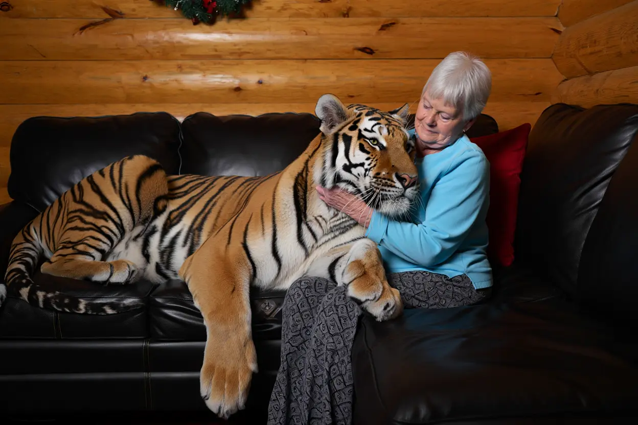 This Elderly Woman Shares Her Home with a Pet Tiger