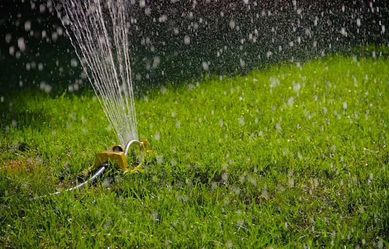 The Golden Rule for a Year-Round Green Lawn