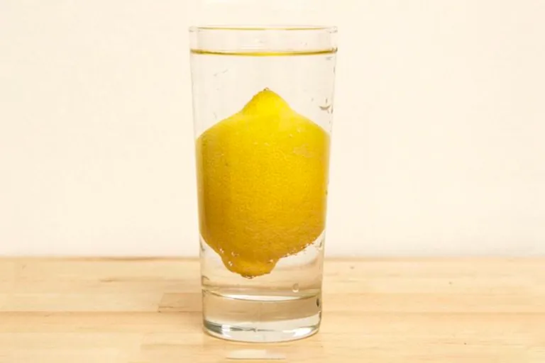 Place a Lemon Seed in Water? Discover the Surprising Result!