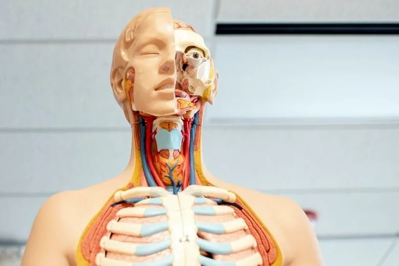 Recognizing Lymph Node Cancer: Key Symptoms to Watch For