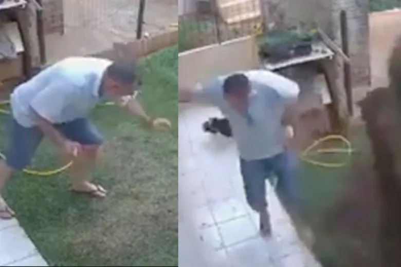 Man Accidentally Blows Up His Garden While Trying to Eliminate Cockroaches