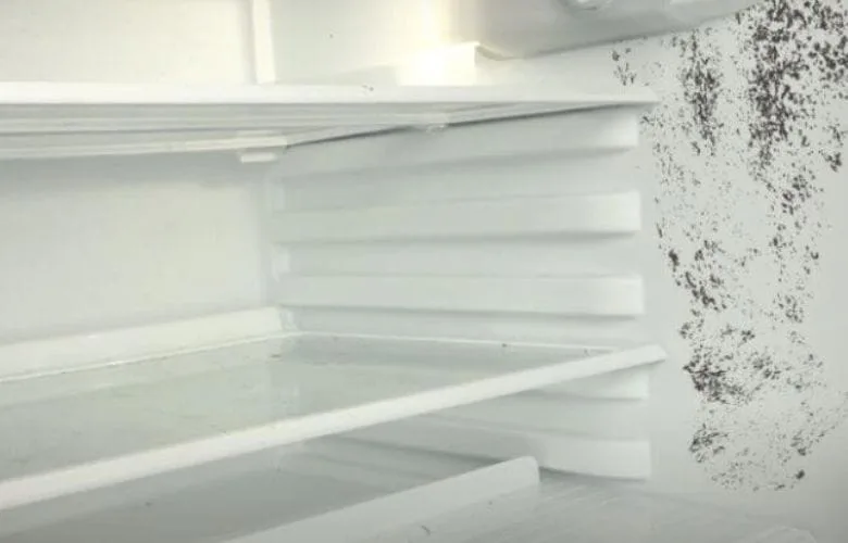 Eliminate Fridge Mold Instantly with This Simple Hack