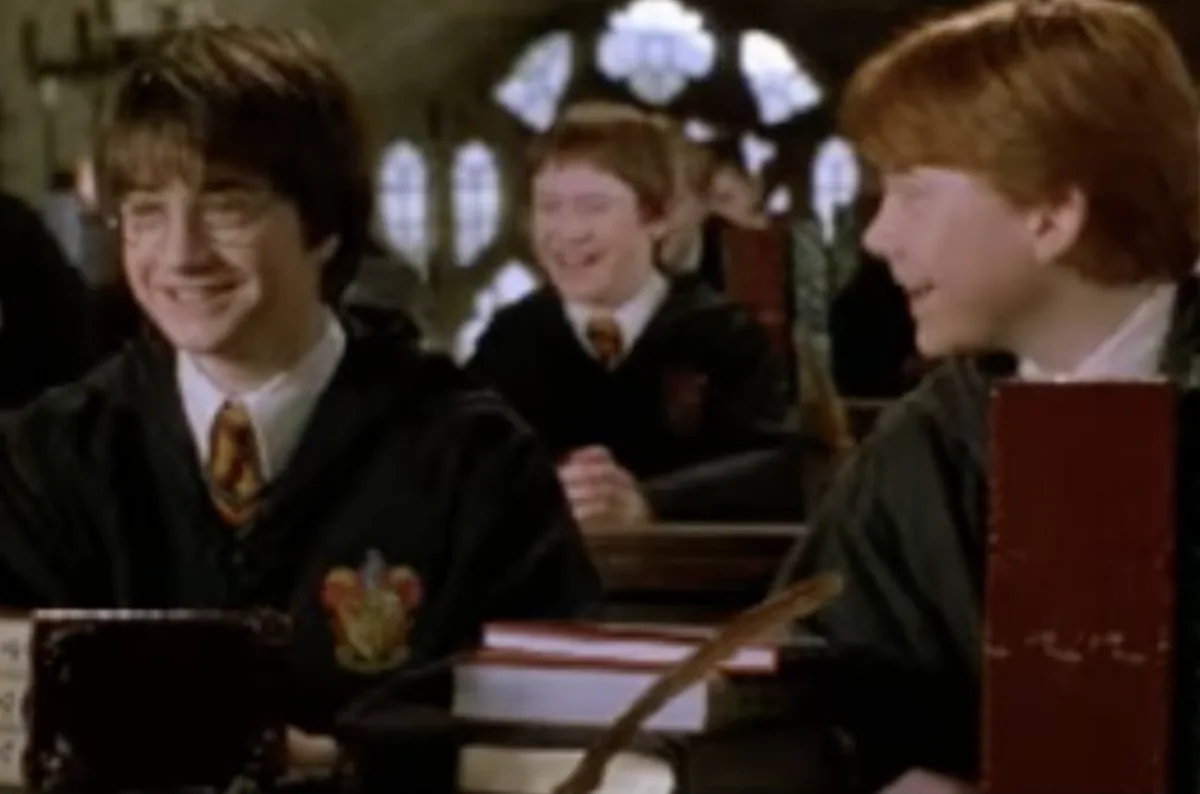 Harry Potter Chamber of Secrets
