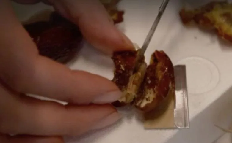 Shocking Discovery: Why You Might Think Twice Before Eating Dates Again