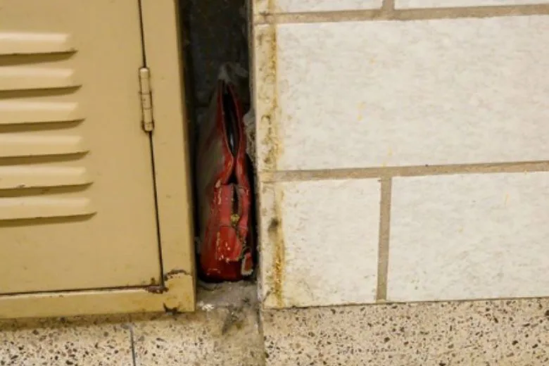 Extraordinary Discovery: 1957 School Bag Found with Unique Artifacts